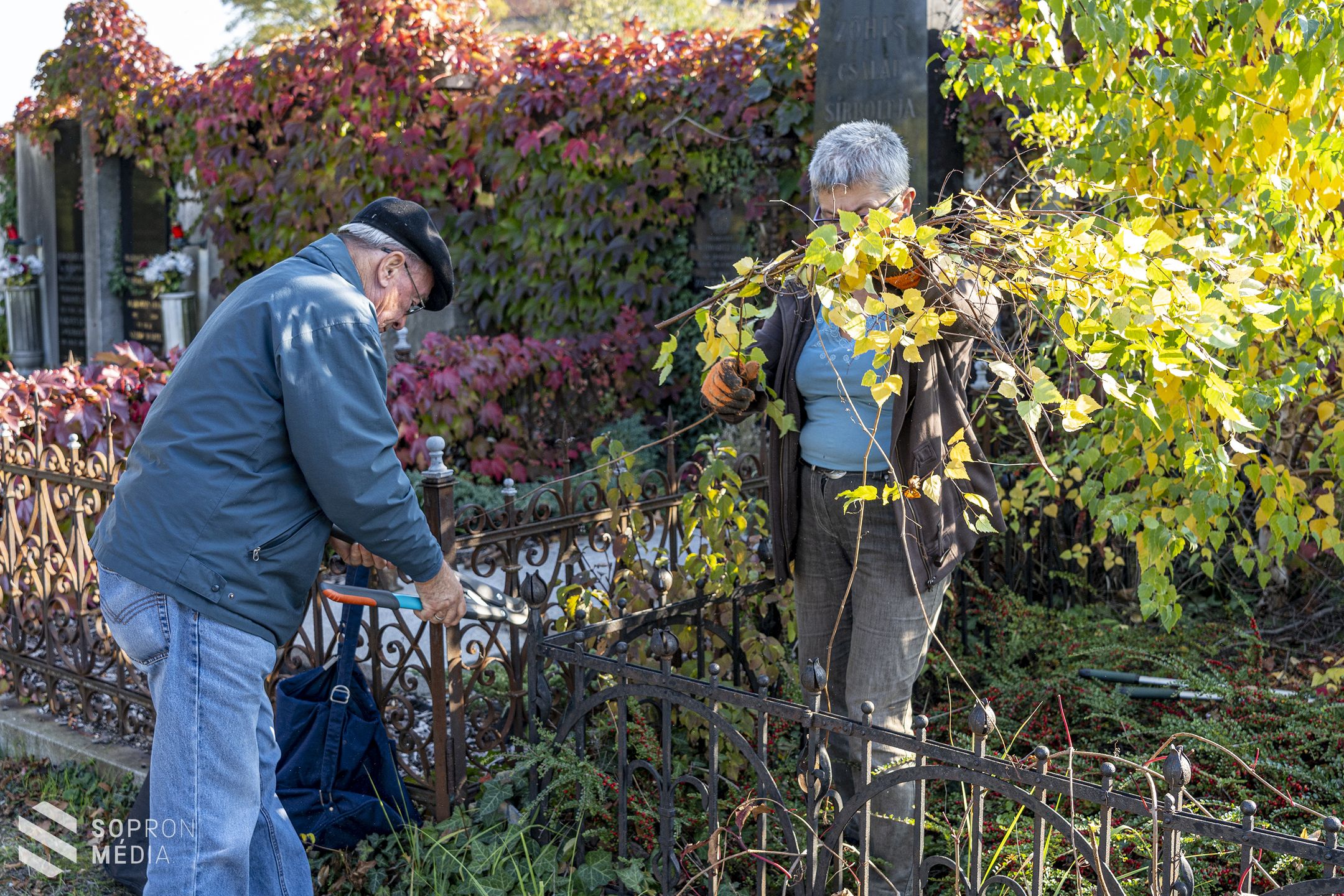 Elhagyatott sírok szépülnek Sopronban