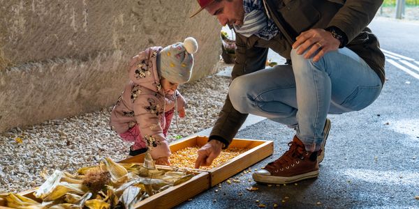 Mesés őszi délután a Kőfejtőben