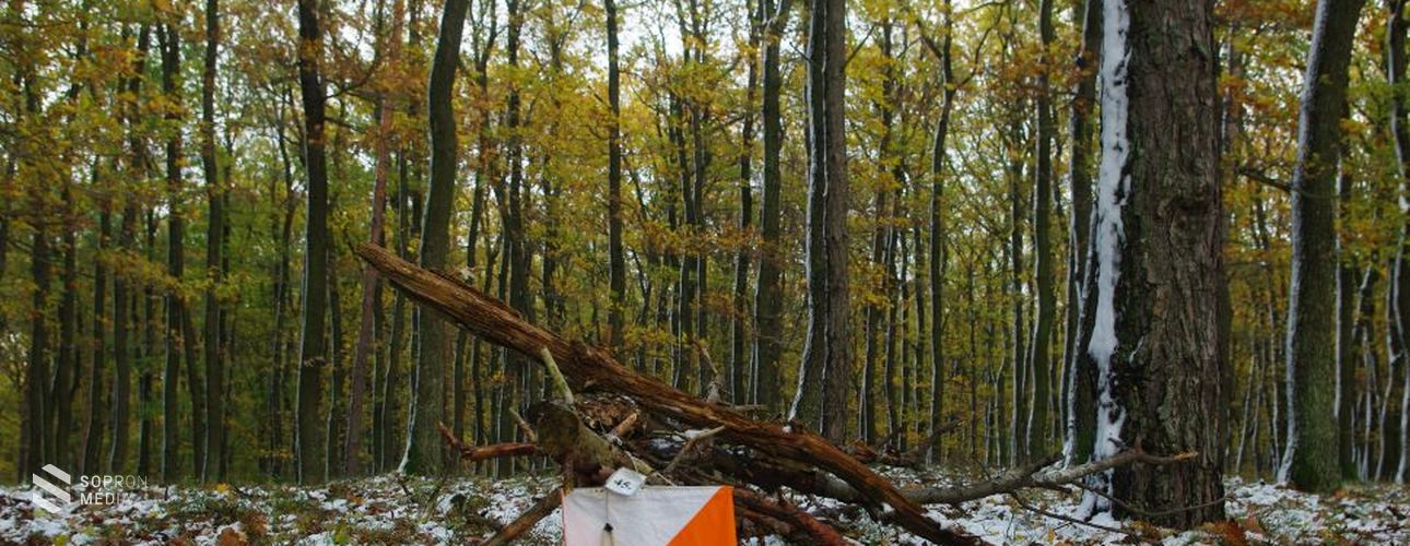 Holnapig lehet nevezni a Soproni Őszi Kupa pontbegyűjtő tájfutóversenyre