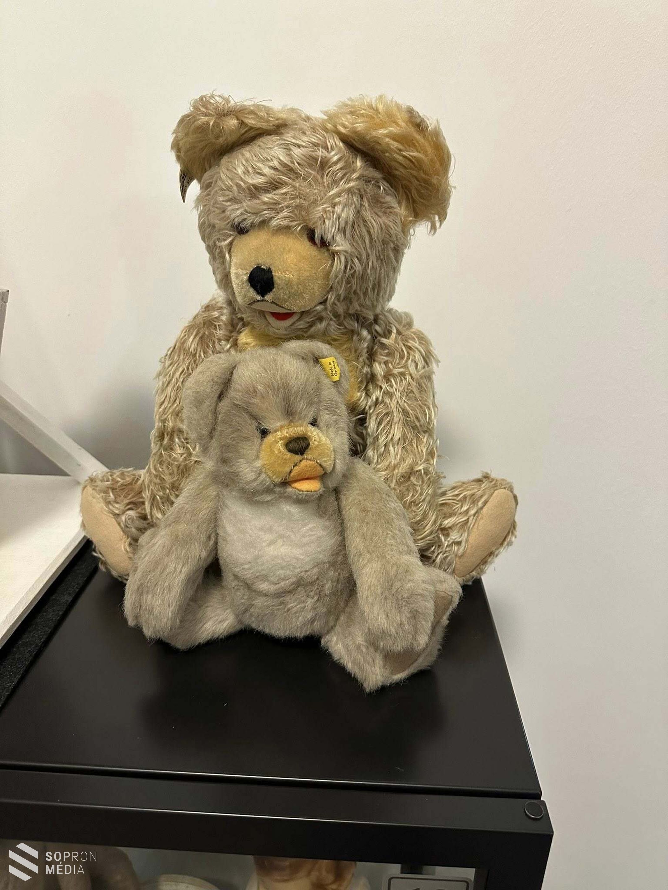 Mackóünnep a Soproni Múzeumban