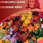 NM. Sárgaviola, Fair Lady szk. 2 g termék képe