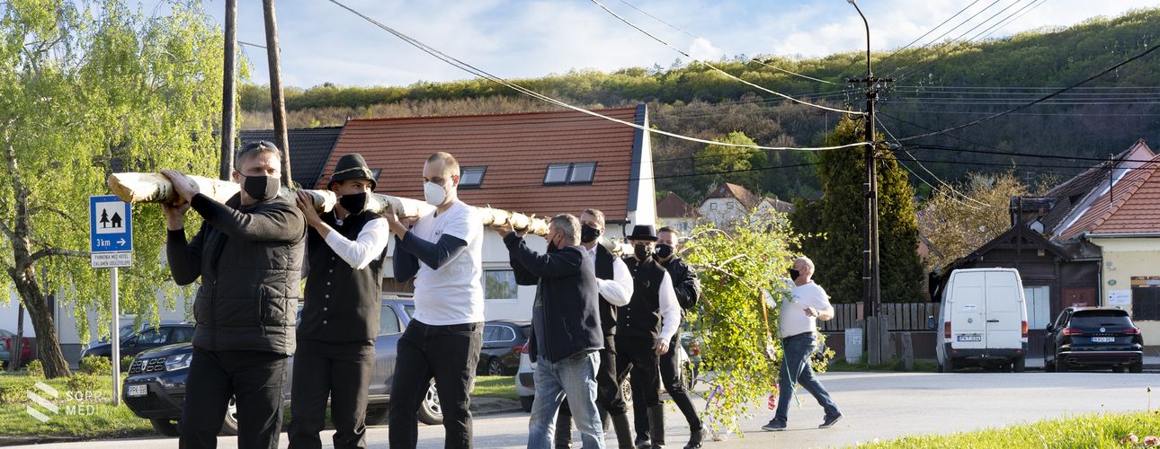 Májusfát állított a Wandorfer Hagyományőrző Egyesület Bánfalván