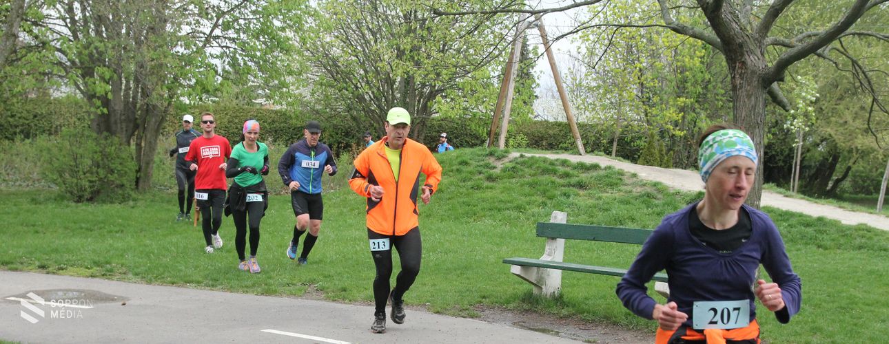 Népszerű volt a PanoráMaraton