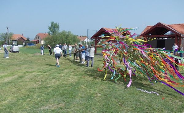 Bikafesztivál és Majális 2013.