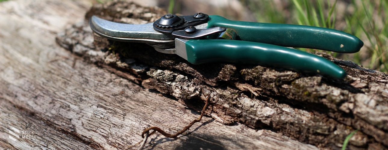 Mit tegyünk a kertben hétvégén?