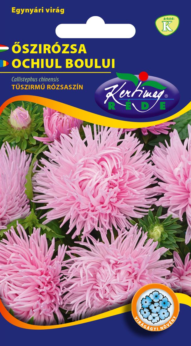 Őszirózsa Tűszirmú rózsaszín 1 g termék képe