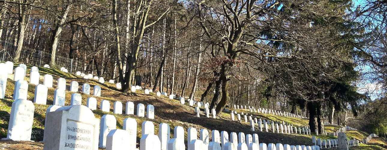 Akik a sopronbánfalvi hősi temetőben alusszák örök álmukat