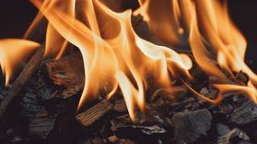 Ismét tűzgyújtási tilalom lépett életbe Győr-Moson-Sopron vármegyében