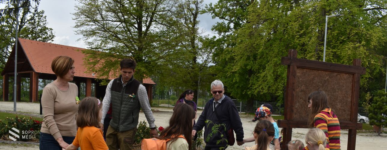 Madarak és fák napja az Erdő Házában