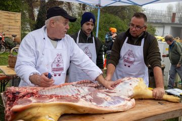 Vonyarcvashegy