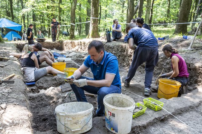 Barcza Attila országgyűlési képviselő