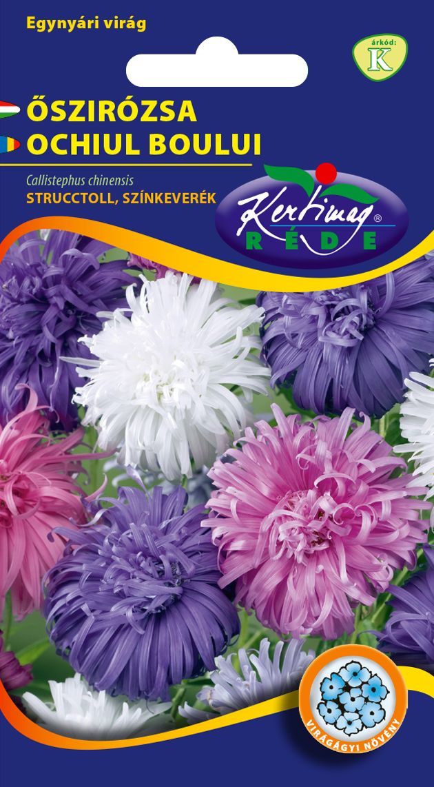 Őszirózsa Strucctoll színkeverék 1 g termék képe