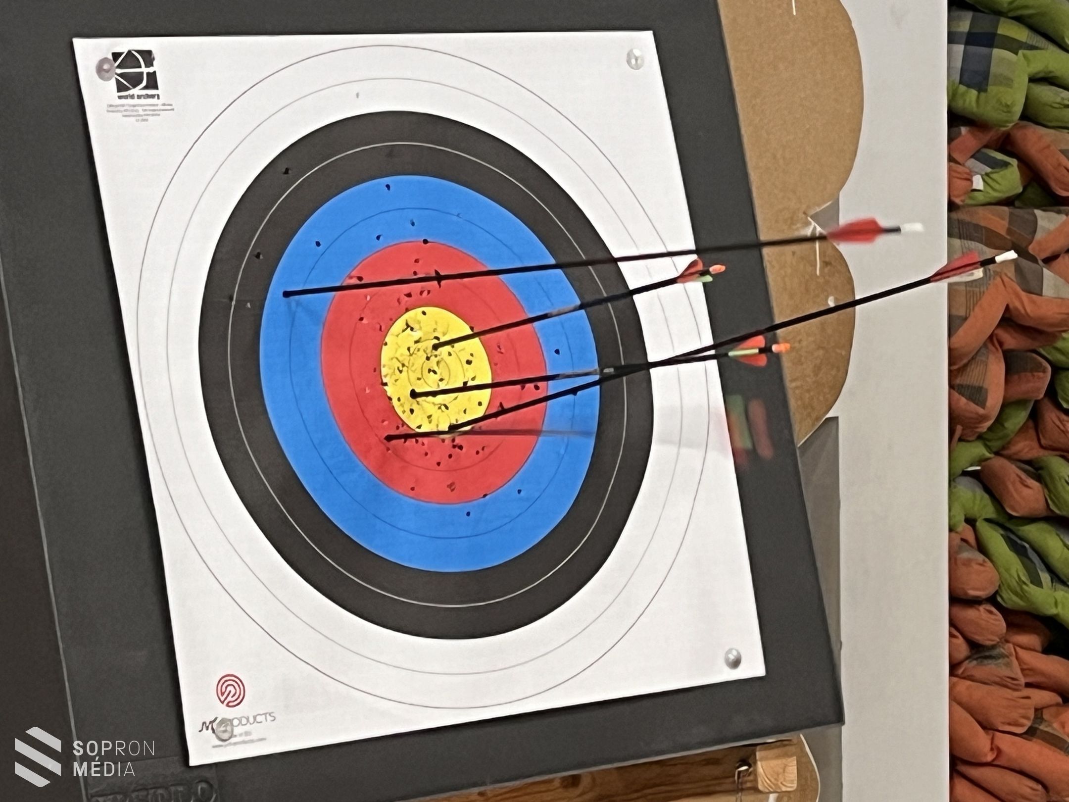 Magyar Parasport Napja