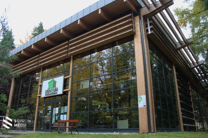 A Ligneum Látogatóközpont ad otthont a kiállításnak