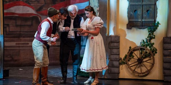 Sissi, a magyar királyné