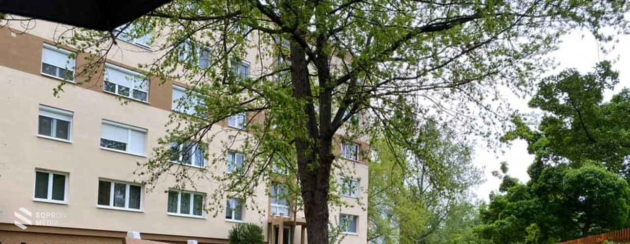 Padokkal bővült a sétány a Jerevánon