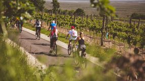 Fedezd fel a Hűség Városát! - Bemutatkoznak a SopronFest túrái