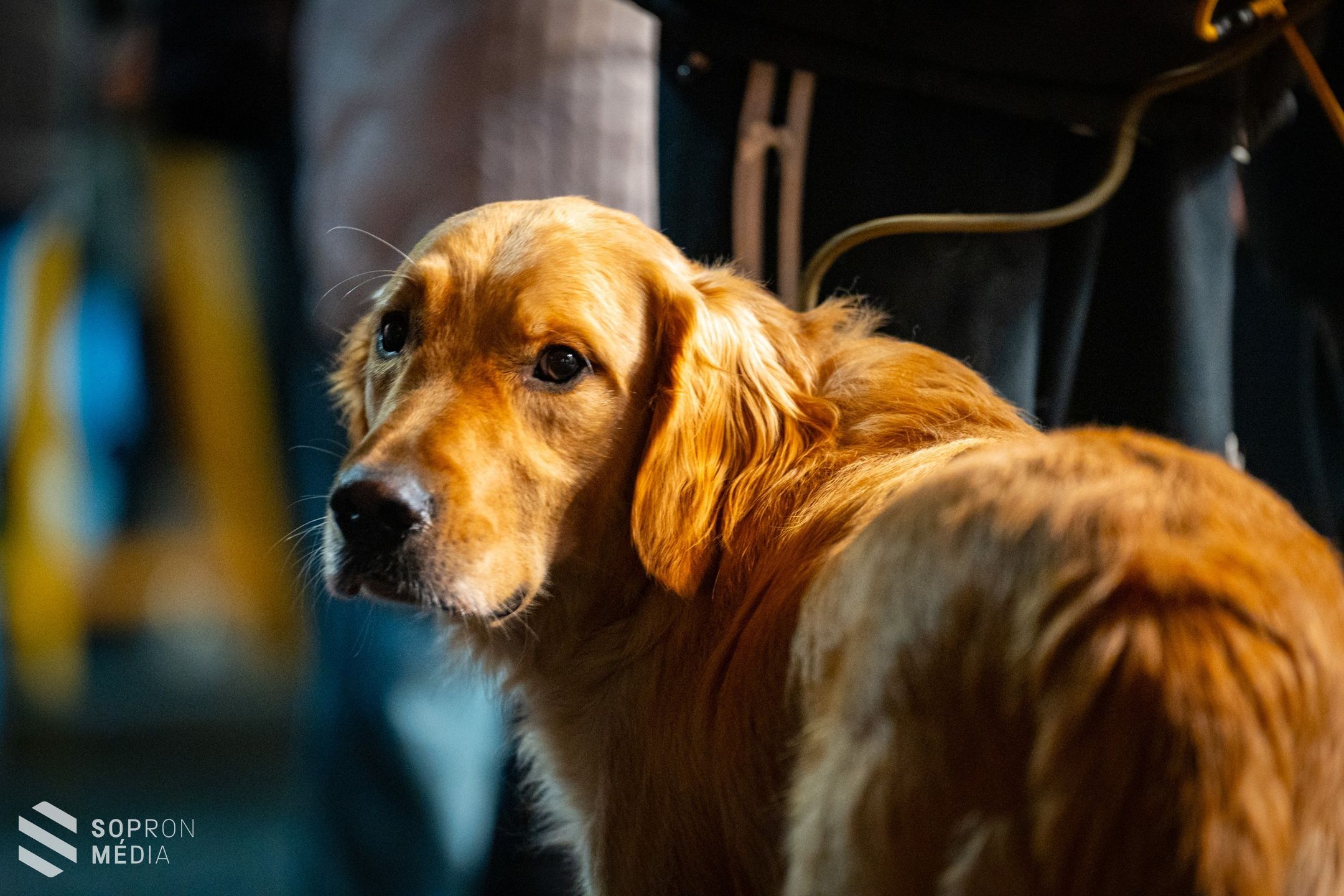Kigyúltak az ünnepi fények Sopronban