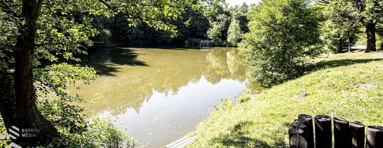 Haláleset történt Sopronban, a Szalamandra-tónál