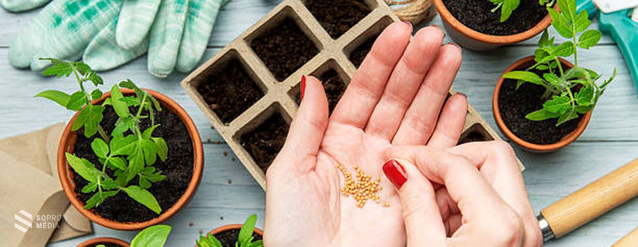 Mik a legfontosabb áprilisi teendők a kertben?