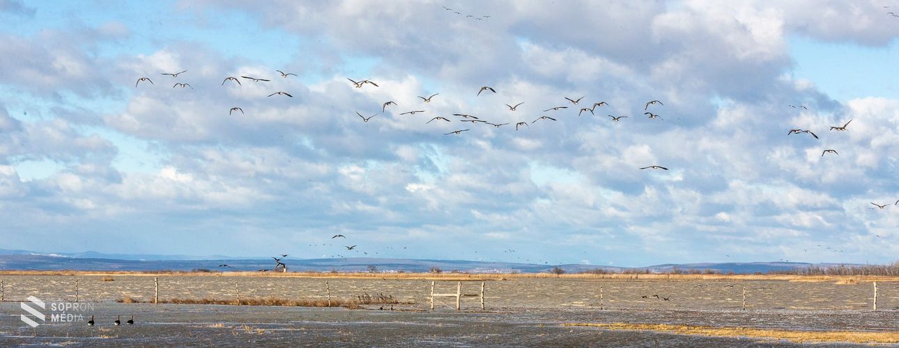 Komoly kormányzati fejlesztések zajlanak a Fertő-Hanság Nemzeti Parkban