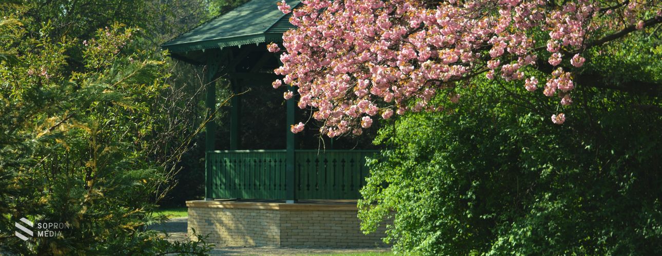 Koncertek a szabadban