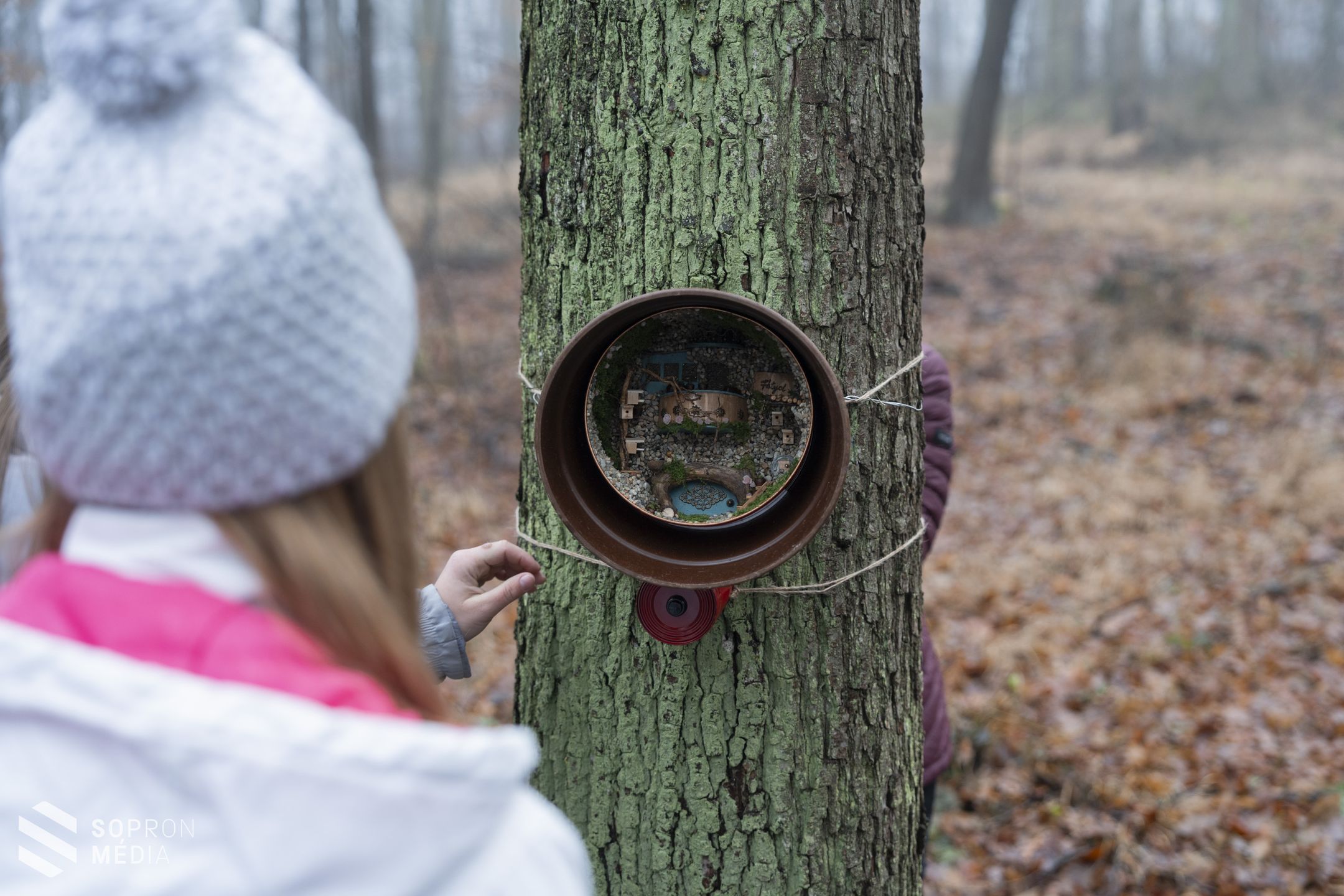 Ismét erdei manók és tündérek nyomába eredhetnek a soproni túrázók