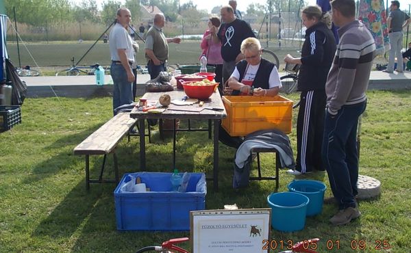 Bikafesztivál és Majális 2013.