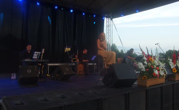 25. Falunap 2014. augusztus 9.