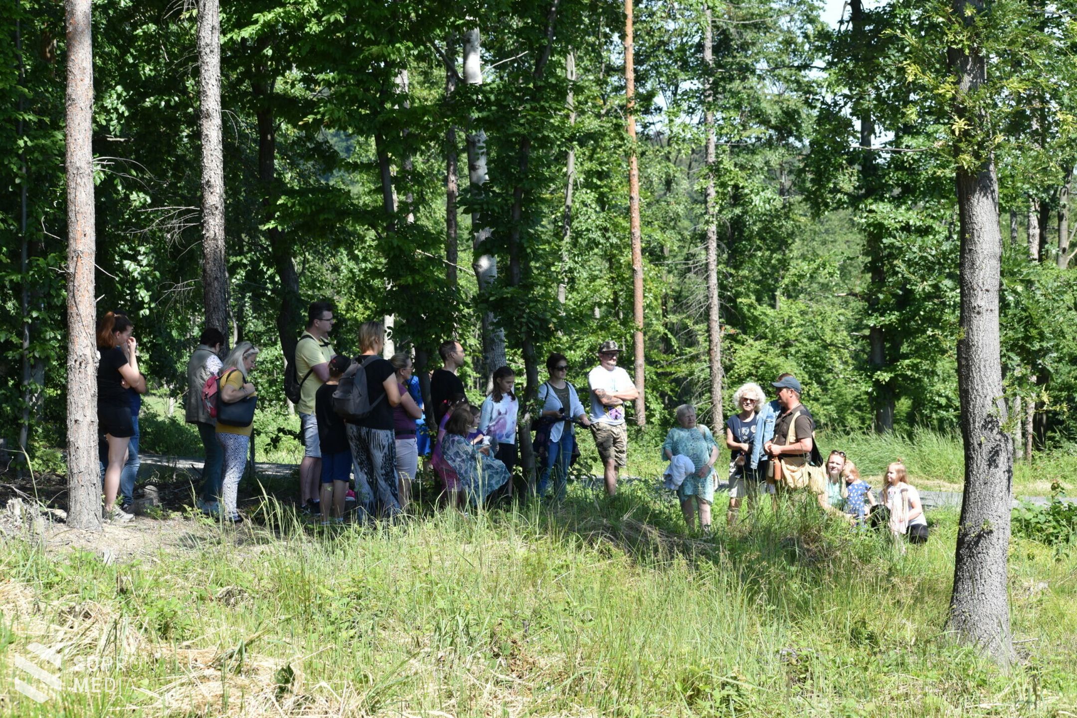 Vadászkutya-bemutatót tartott a TAEG Zrt. az Erdő Házában