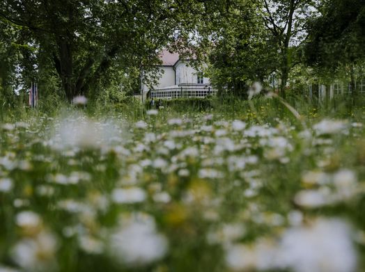 Pictures of the hotel