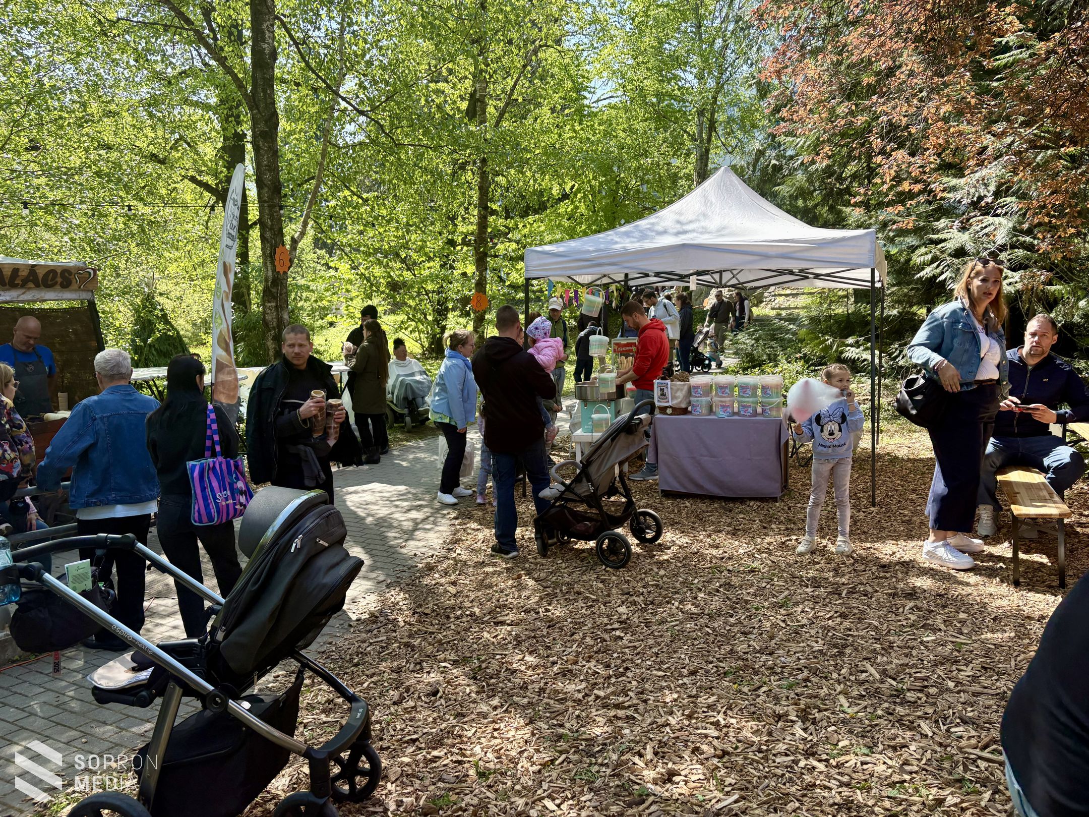 Hetedhét Családi Napot tartottak a Botanikus kertben