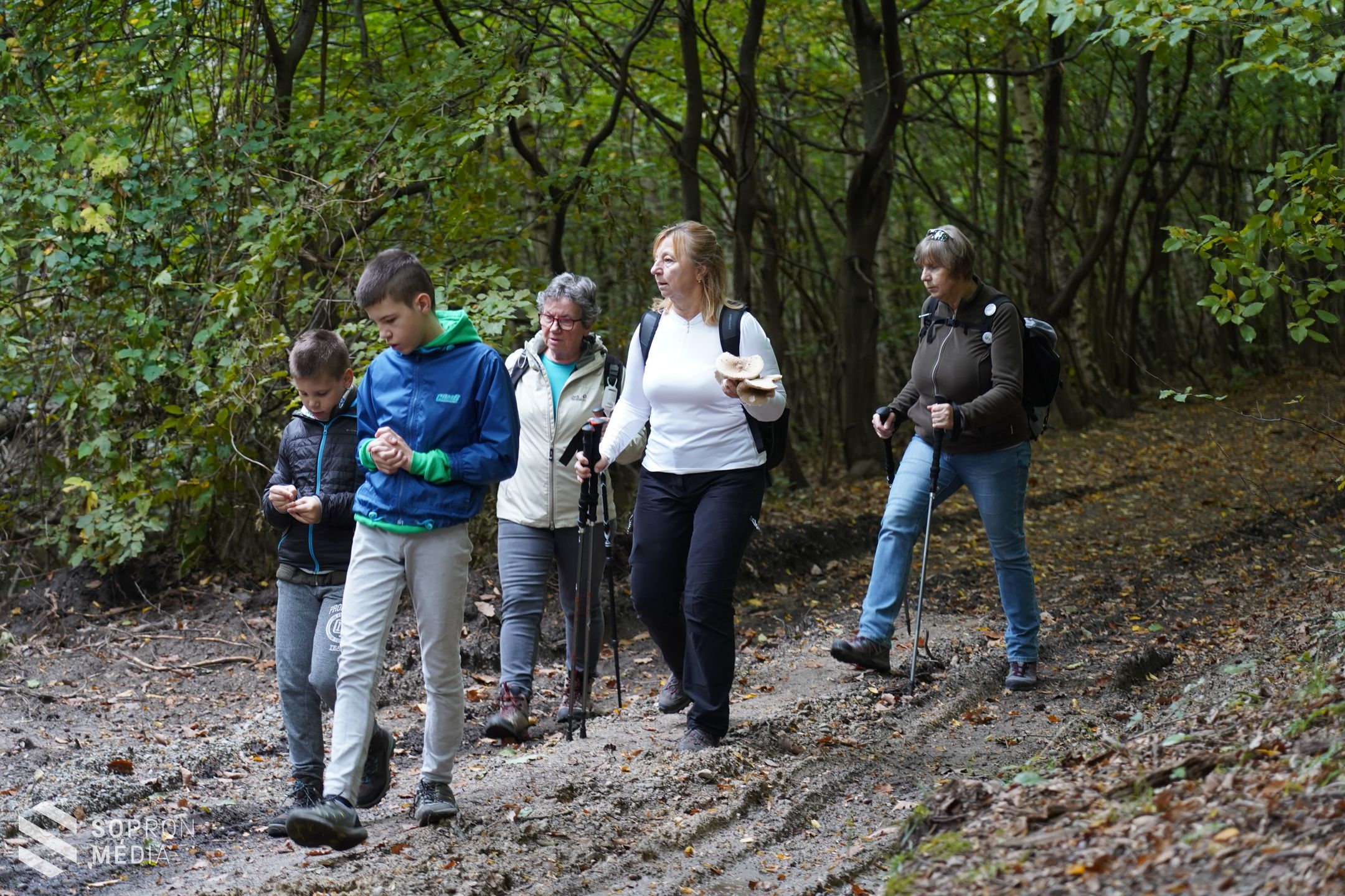 Gyalogló nap - 4 féle távon indulhattak a mozogni vágyók