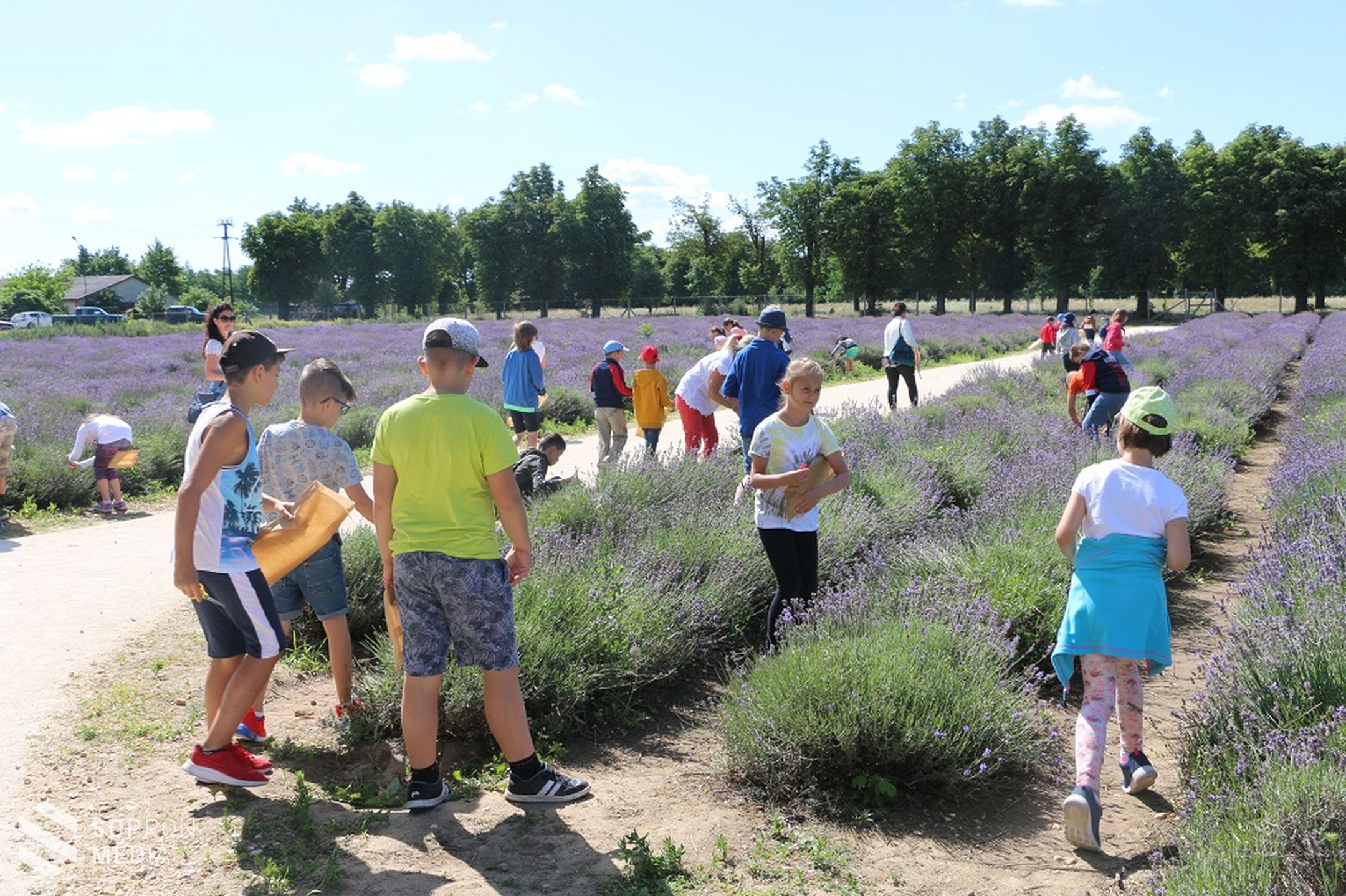A Soproni Tankerület nyári táborosai körében népszerű az Esterházy-kastély programja
