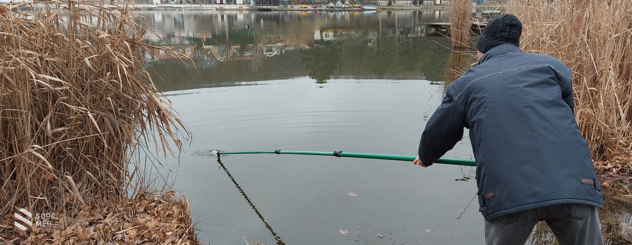 Olajjal szennyezte be az ismeretlen tettes  a Tómalom vizét a horgászstégek közelében