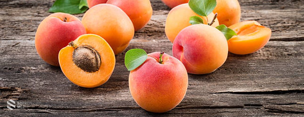 Immunrendszerünk erősítője: a sárgabarack