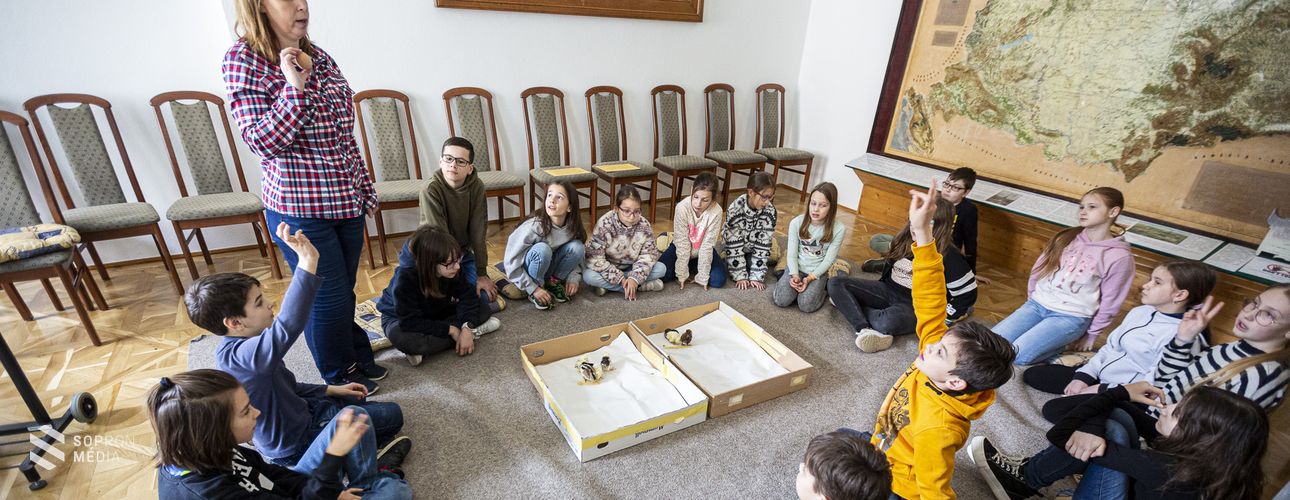 Húsvétra hangolódnak az Erdészeti Múzeumban