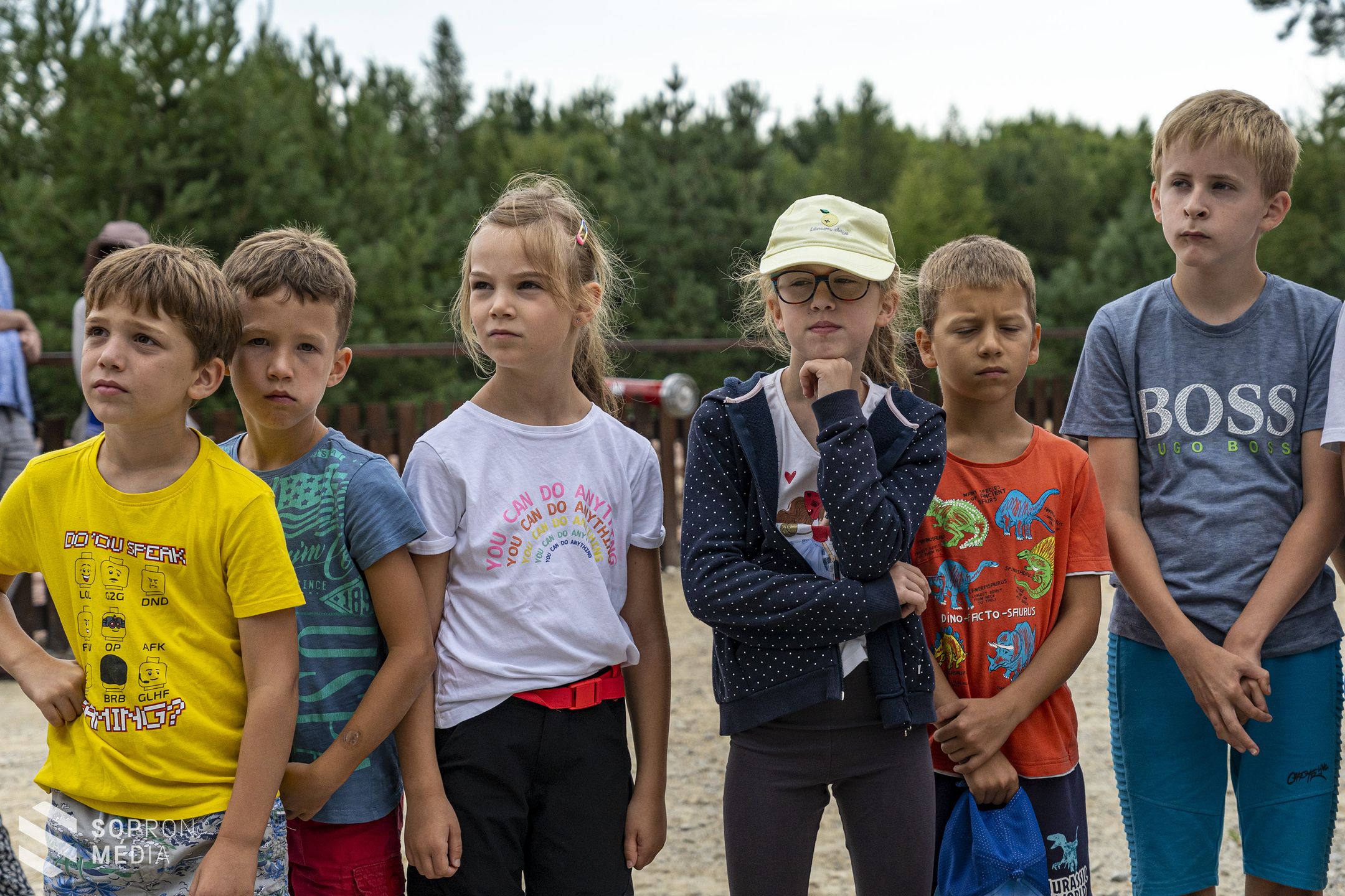 Egy éve nyitotta meg kapuit az Erdő Háza