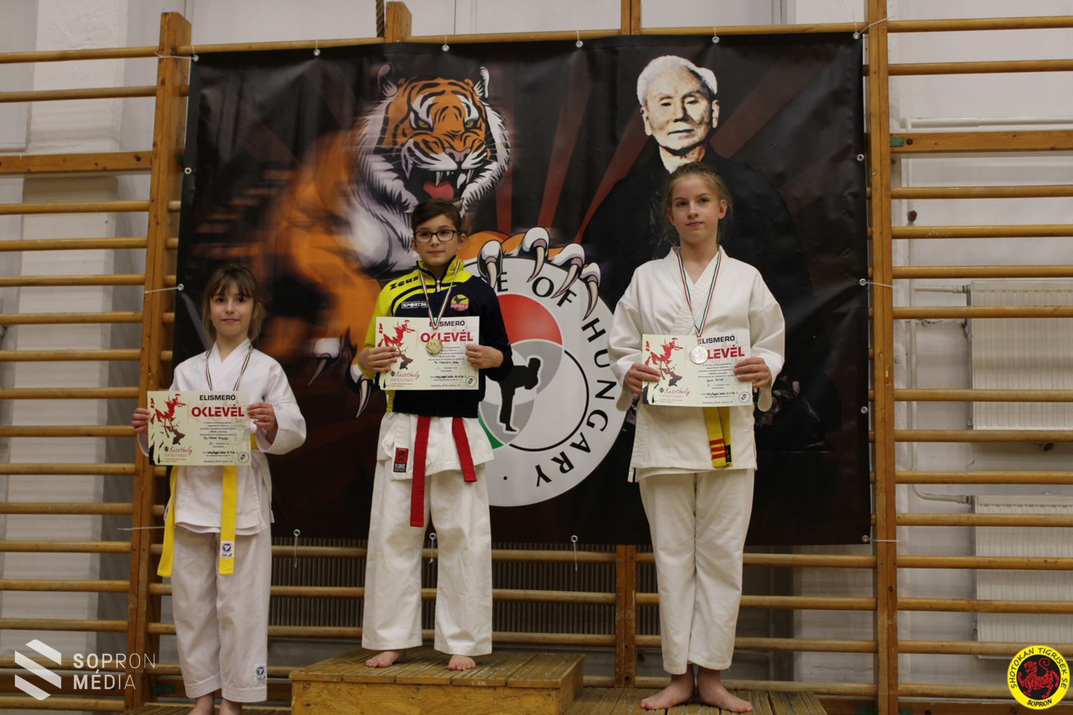 Újabb  sikerek a Shotokan Tigriseknél