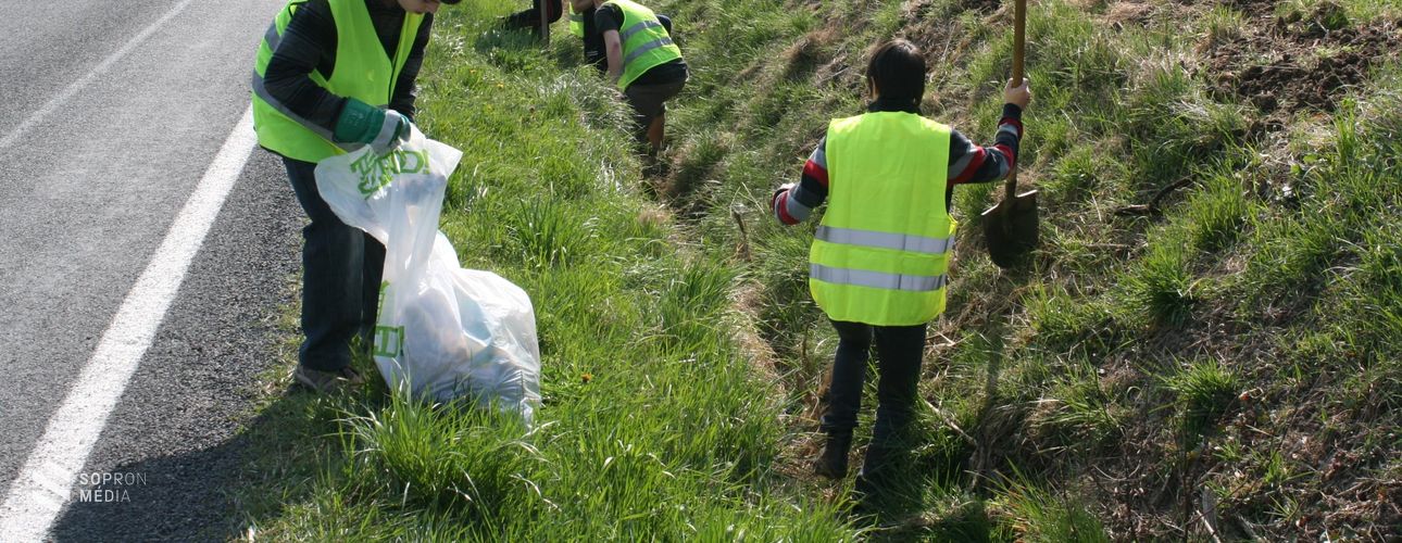 Önkéntes nap lesz a nemzeti parkban