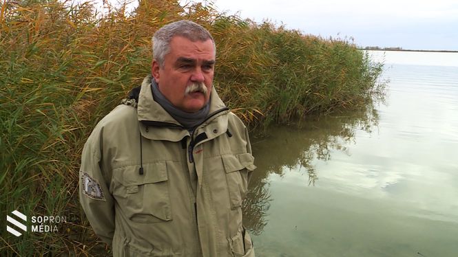 Pellinger Attila szerint az alacsonyabb vízszint önmagában nem ad okot aggodalomra