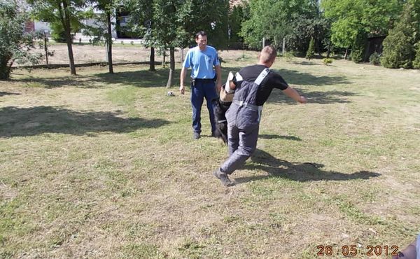 Gyermeknap 2012