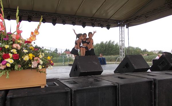24. Falunap 2013. augusztus 10.