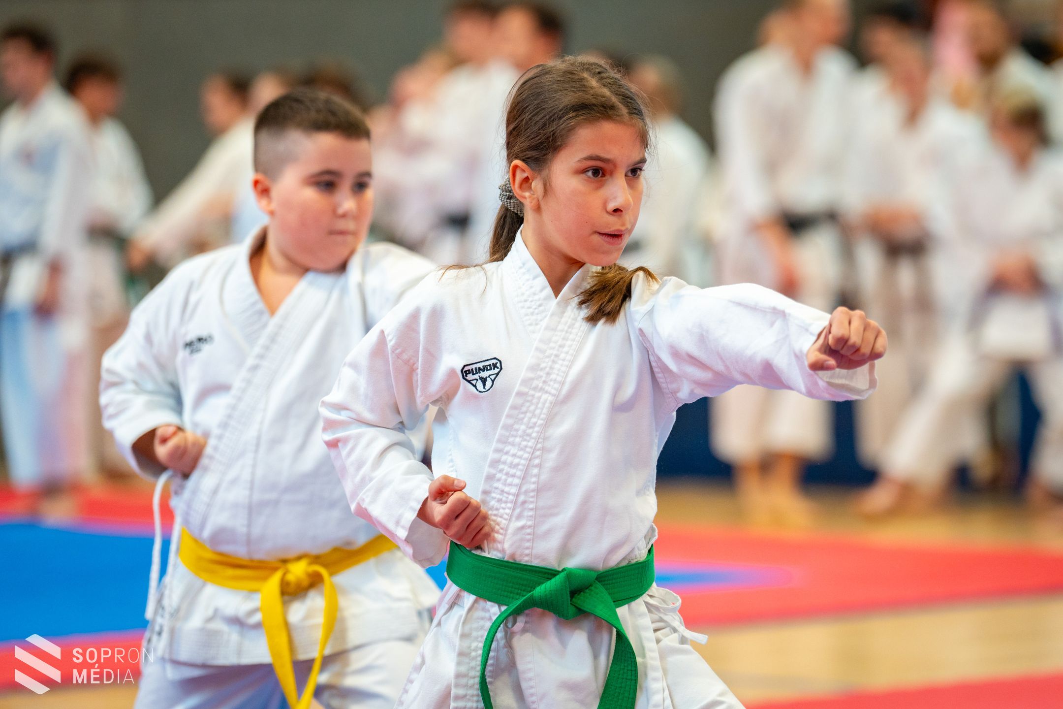 Megtartották a jubileumi 10. Tigrisek Karate Kupát