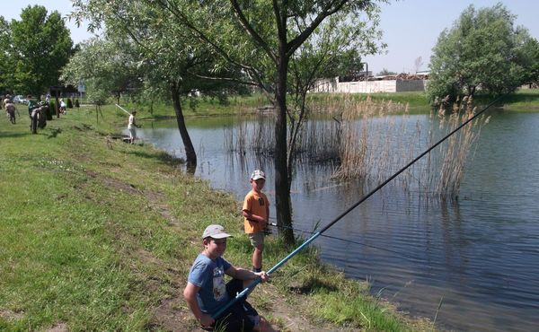 Napközis Tábor 2013