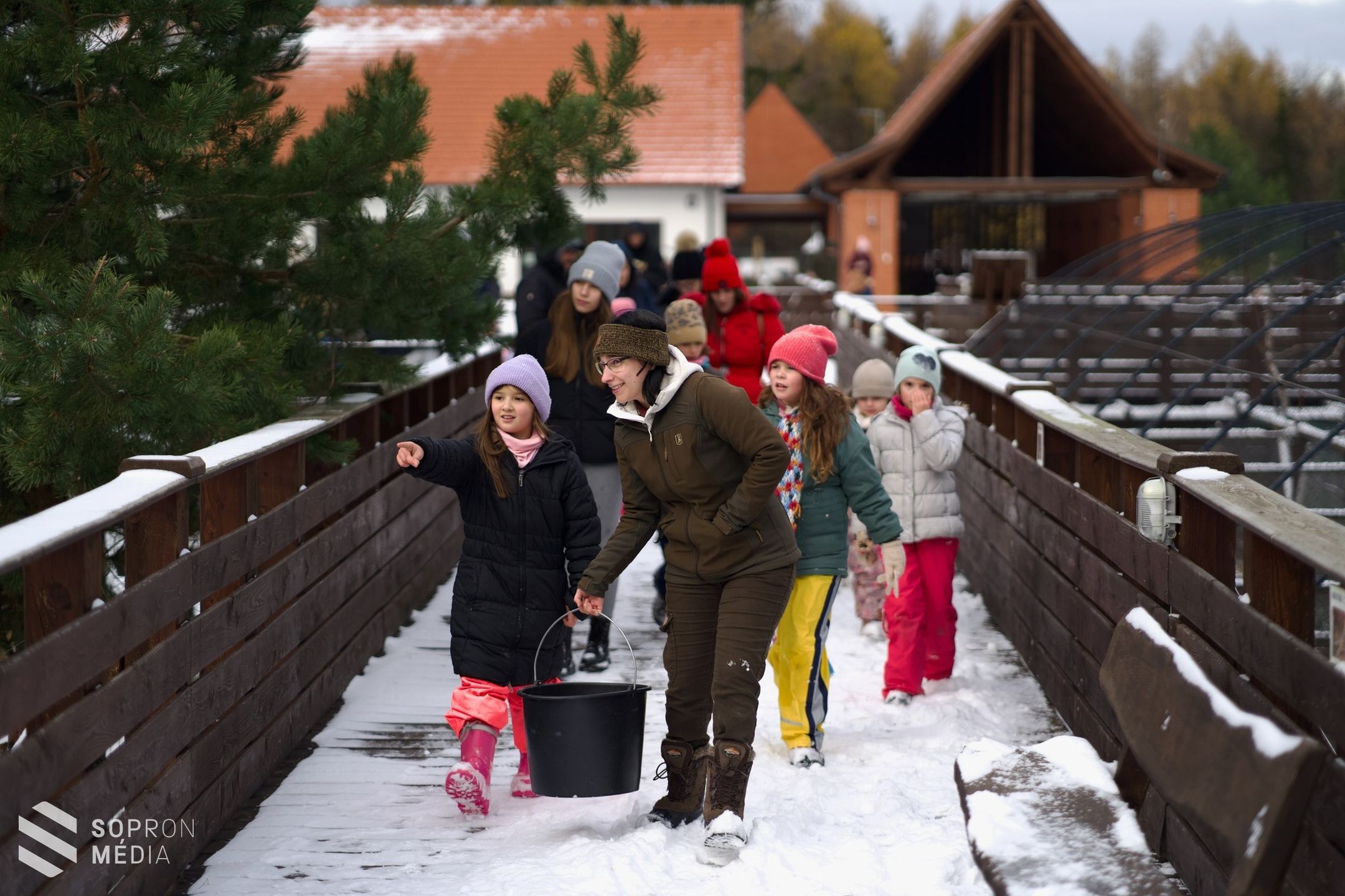 Adventi készülődés az Erdő Házában