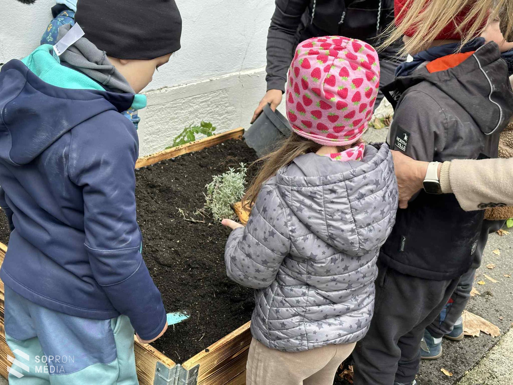 A jövő környezetvédői a Széchenyi István Városi Könyvtárban