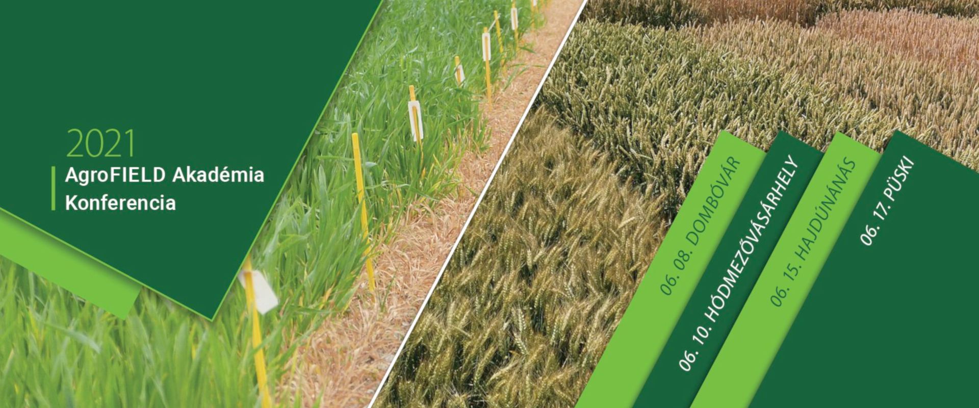 Agrofil-SZMI Kft.