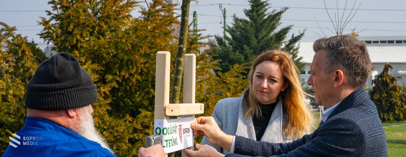 Faültetési program: 12 új fával gazdagodott a Kőszegi út