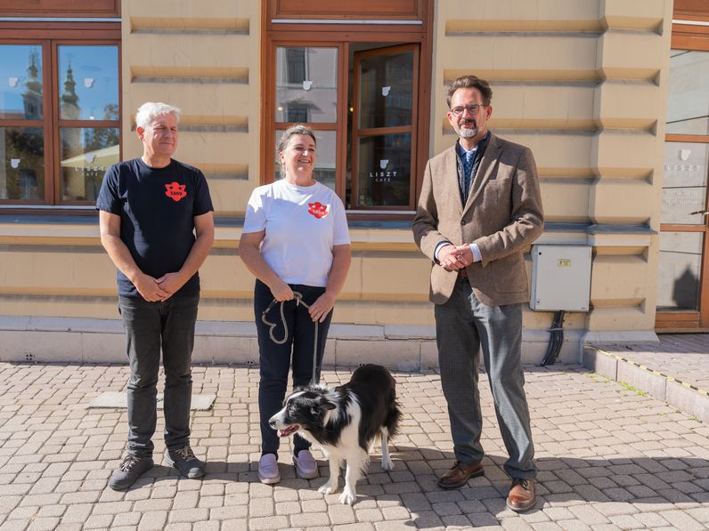 Újraindul a Gyorstalpaló